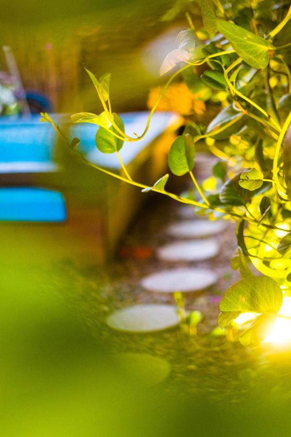 Hostel Musa Paradisiaca Санта Марта Екстериор снимка