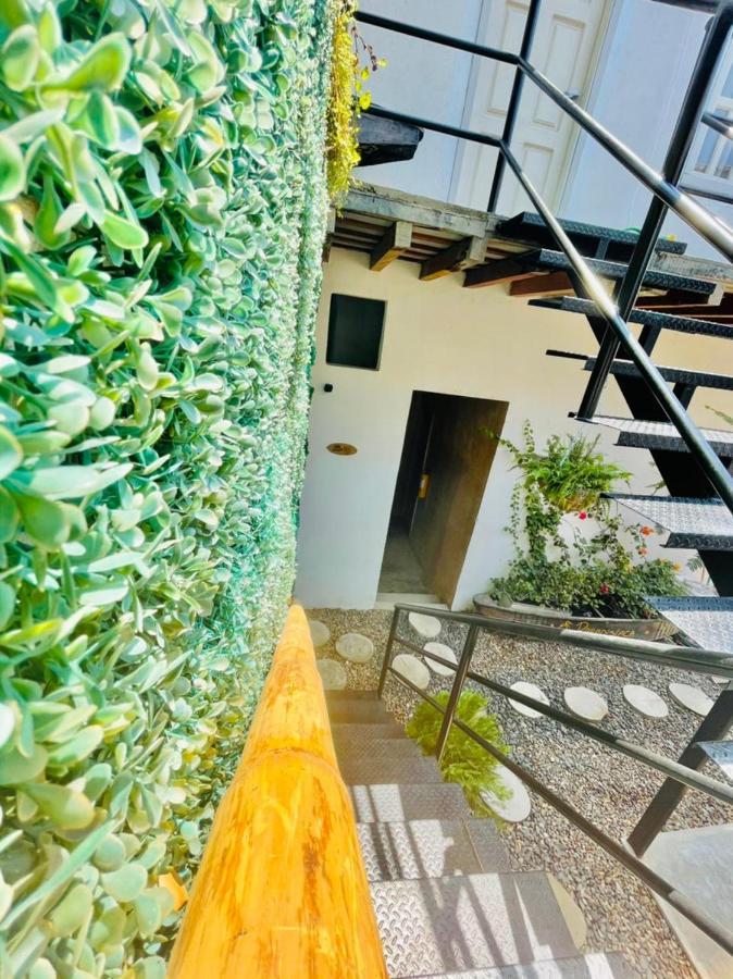 Hostel Musa Paradisiaca Санта Марта Екстериор снимка